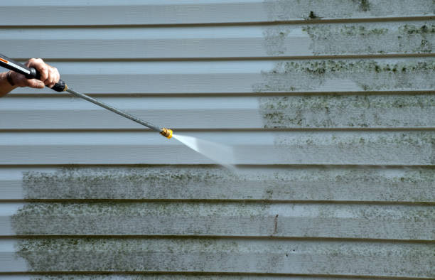 Best Roof Pressure Washing  in USA